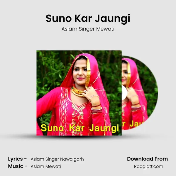 Suno Kar Jaungi - Aslam Singer Mewati album cover 