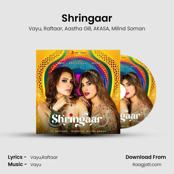 Shringaar - Vayu album cover 