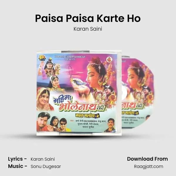 Paisa Paisa Karte Ho - Karan Saini album cover 