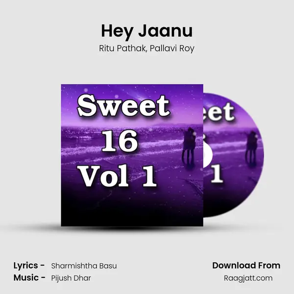 Hey Jaanu - Ritu Pathak album cover 