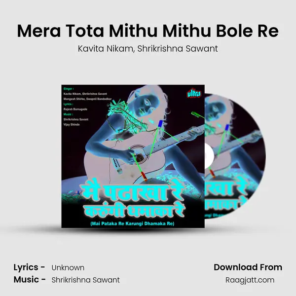 Mera Tota Mithu Mithu Bole Re - Kavita Nikam album cover 