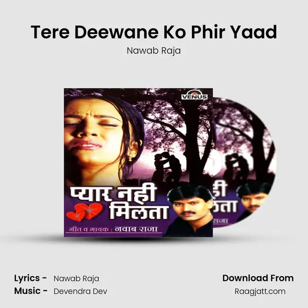 Tere Deewane Ko Phir Yaad - Nawab Raja album cover 