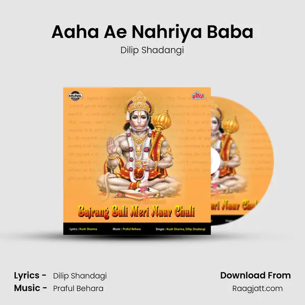 Aaha Ae Nahriya Baba - Dilip Shadangi album cover 