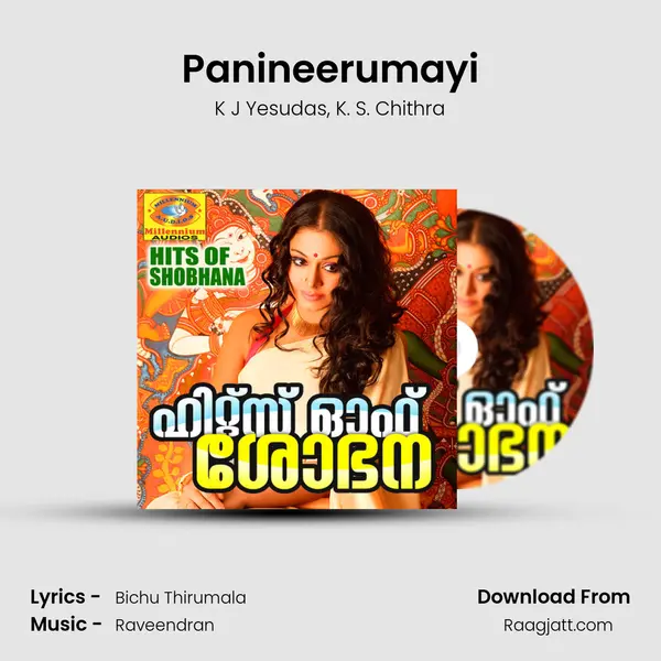 Panineerumayi - K J Yesudas album cover 