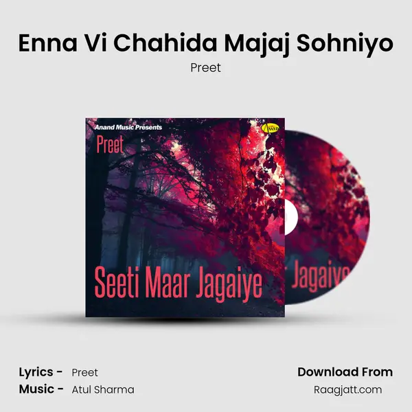 Enna Vi Chahida Majaj Sohniyo - Preet album cover 