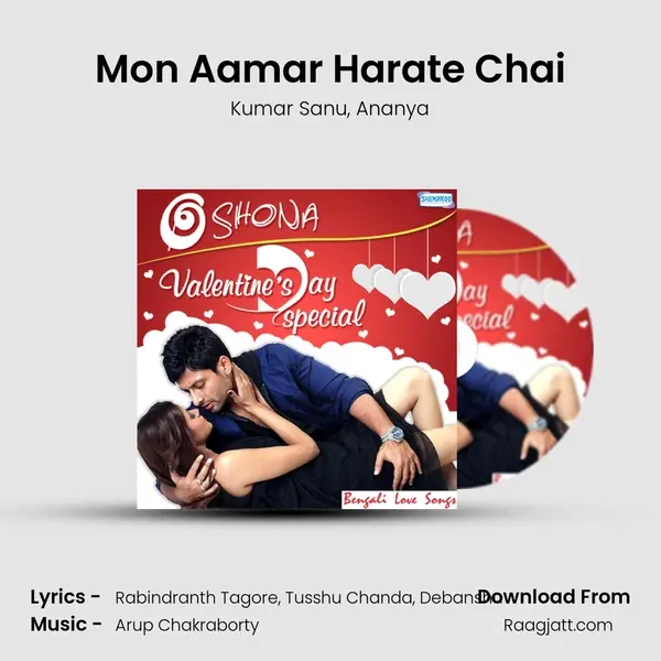 Mon Aamar Harate Chai mp3 song