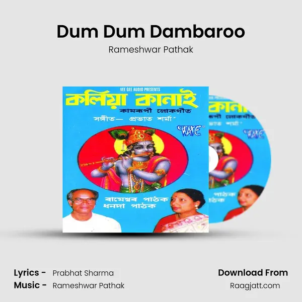 Dum Dum Dambaroo - Rameshwar Pathak album cover 