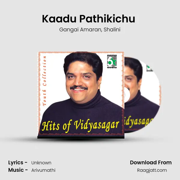 Kaadu Pathikichu (From Aaha Ethanai Azhagu) mp3 song