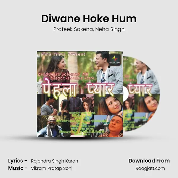 Diwane Hoke Hum - Prateek Saxena album cover 