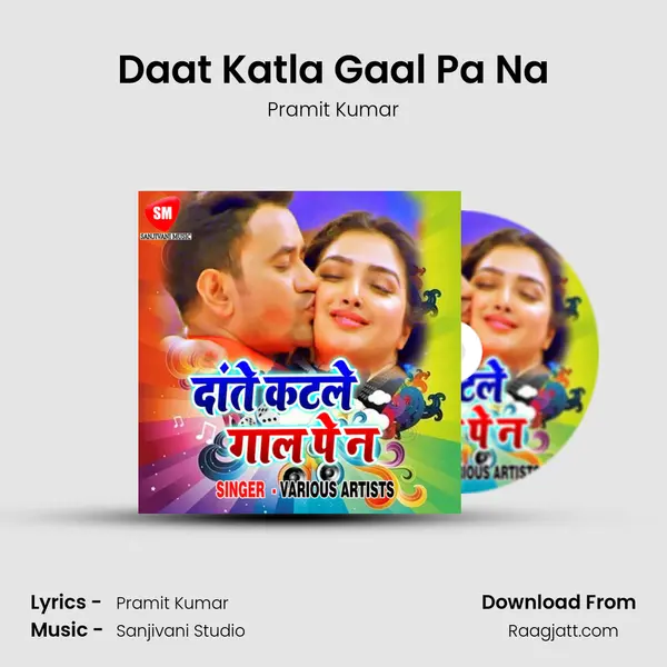 Daat Katla Gaal Pa Na - Pramit Kumar album cover 