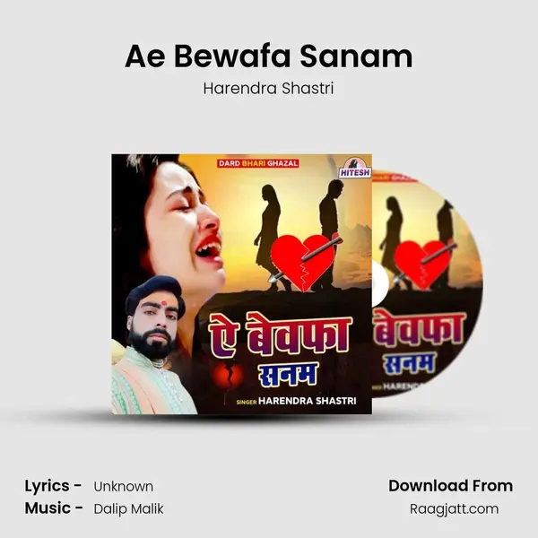 Ae Bewafa Sanam - Harendra Shastri album cover 