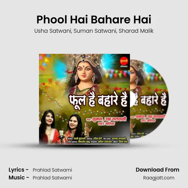 Phool Hai Bahare Hai mp3 song