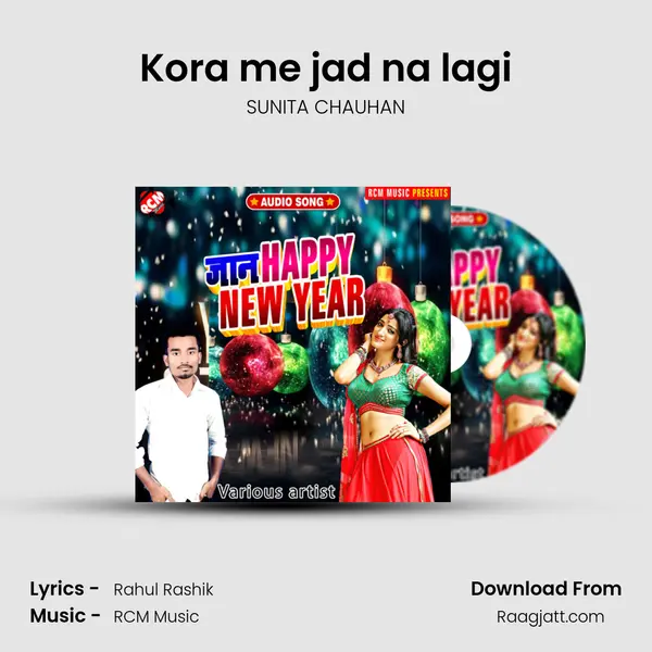 Kora me jad na lagi - SUNITA CHAUHAN album cover 