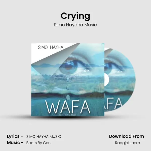 Crying - Simo Hayaha Music album cover 