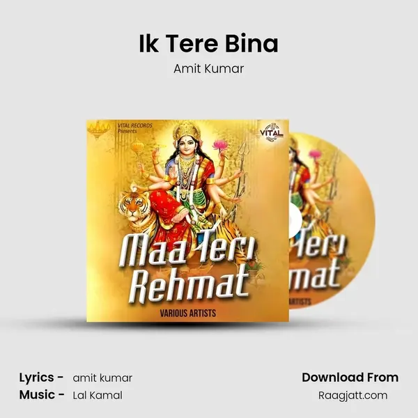 Ik Tere Bina - Amit Kumar album cover 