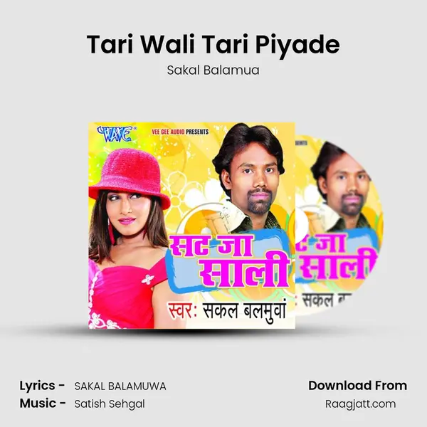 Tari Wali Tari Piyade mp3 song