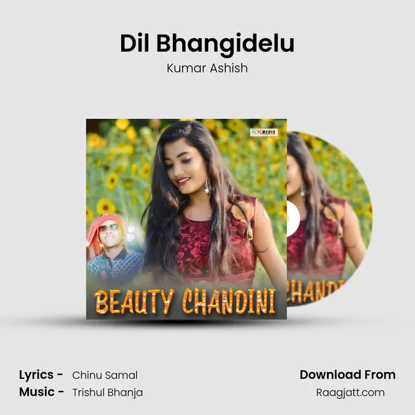 Dil Bhangidelu mp3 song