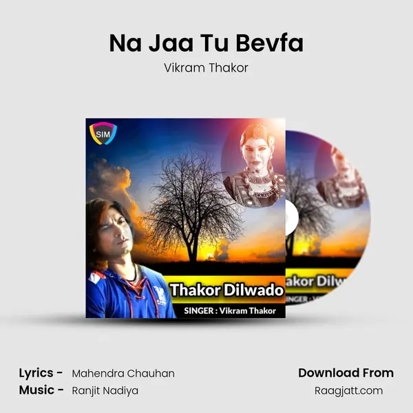 Na Jaa Tu Bevfa - Vikram Thakor album cover 