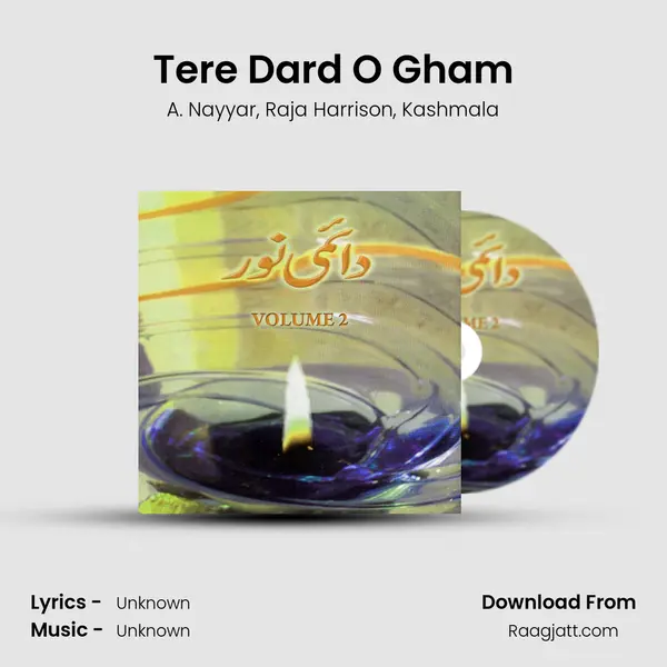 Tere Dard O Gham - A. Nayyar album cover 