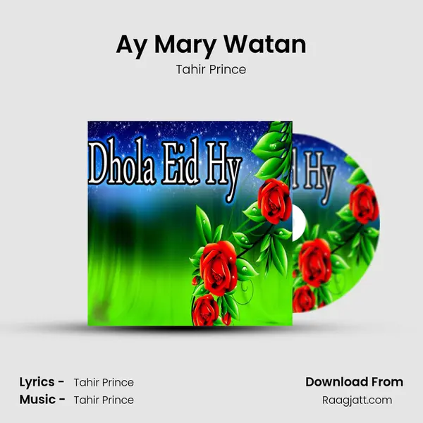 Ay Mary Watan - Tahir Prince album cover 