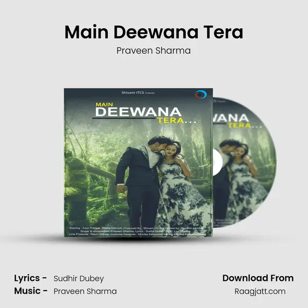 Main Deewana Tera mp3 song