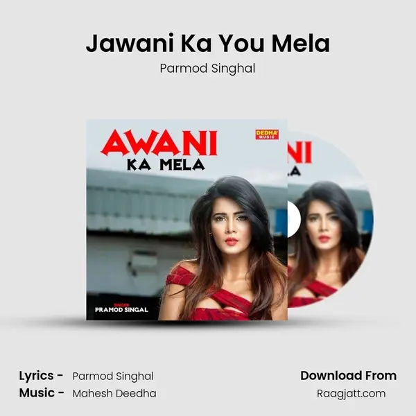 Jawani Ka You Mela - Parmod Singhal album cover 