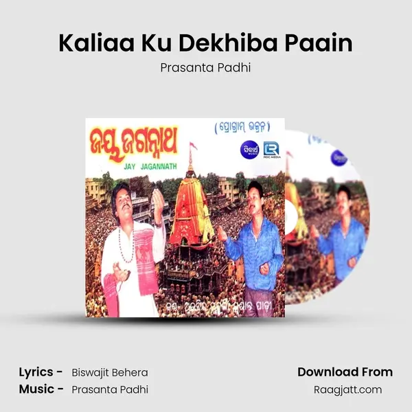 Kaliaa Ku Dekhiba Paain mp3 song