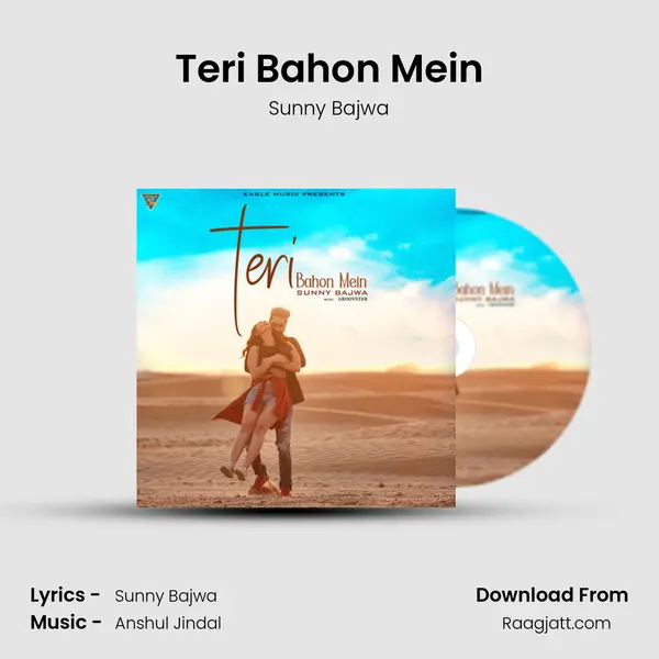 Teri Bahon Mein - Sunny Bajwa album cover 