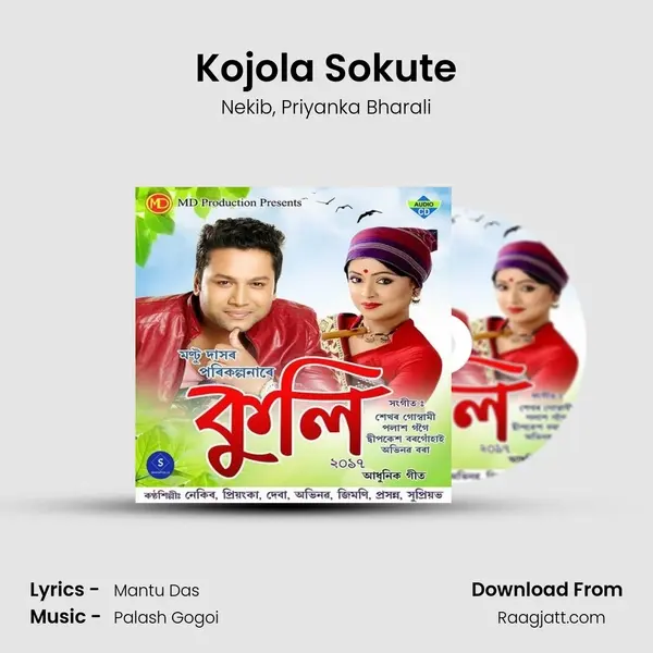 Kojola Sokute - Nekib album cover 