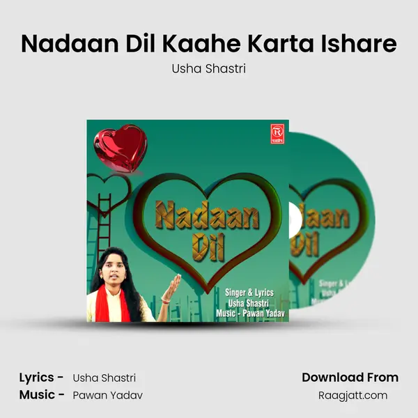 Nadaan Dil Kaahe Karta Ishare mp3 song