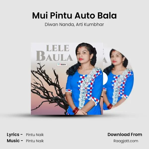 Mui Pintu Auto Bala - Diwan Nanda album cover 