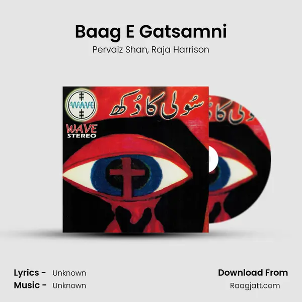 Baag E Gatsamni - Pervaiz Shan album cover 