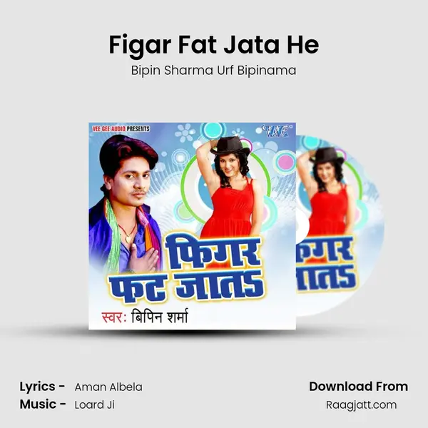 Figar Fat Jata He - Bipin Sharma Urf Bipinama album cover 