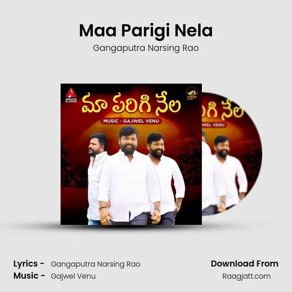 Maa Parigi Nela - Gangaputra Narsing Rao mp3 song