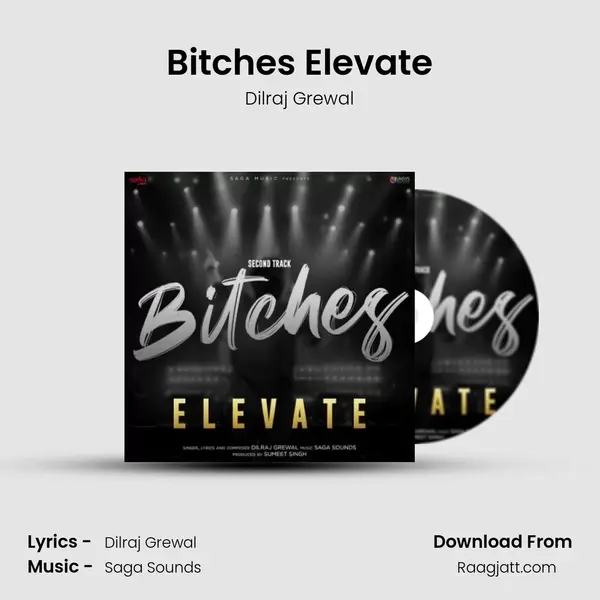 Bitches Elevate - Dilraj Grewal album cover 