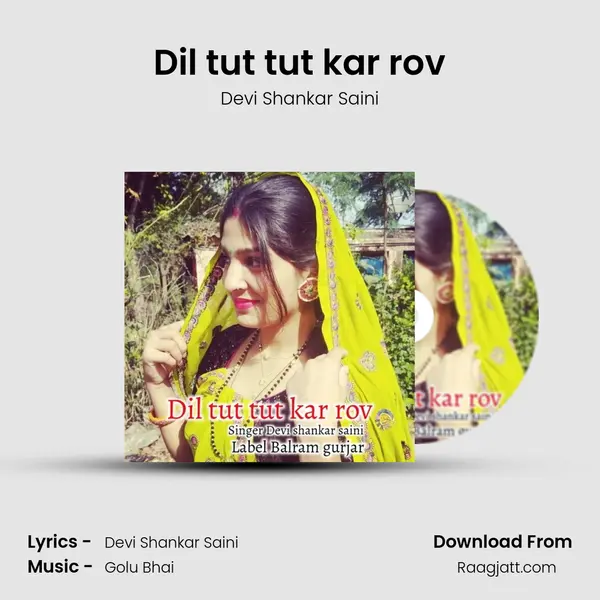 Dil tut tut kar rov - Devi Shankar Saini mp3 song