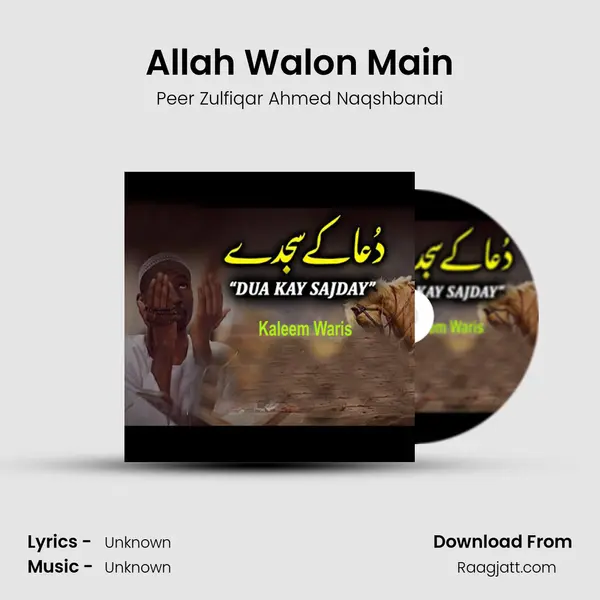 Allah Walon Main - Peer Zulfiqar Ahmed Naqshbandi album cover 