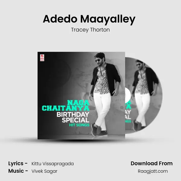 Adedo Maayalley (From Yuddham Sharanam) mp3 song