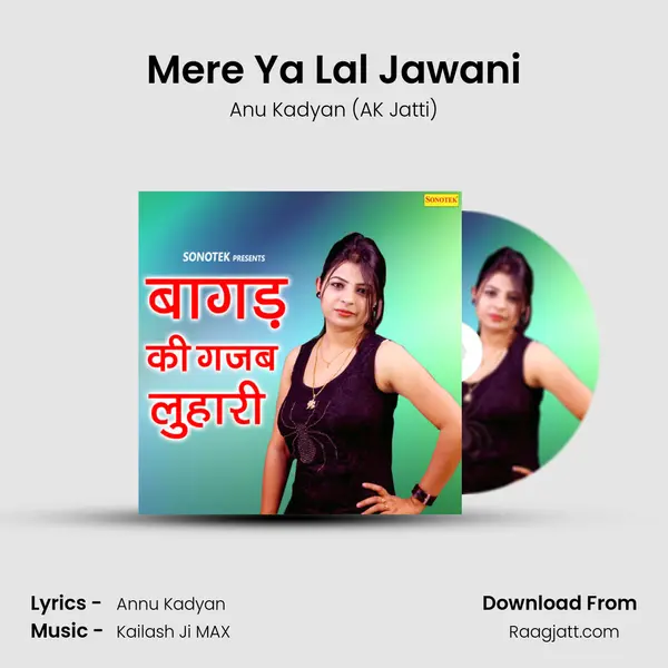 Mere Ya Lal Jawani mp3 song