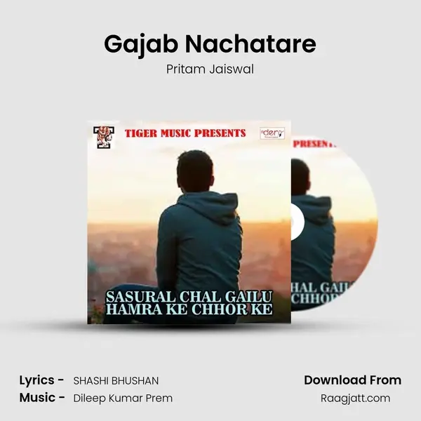 Gajab Nachatare - Pritam Jaiswal album cover 