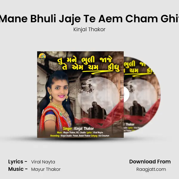 Tu Mane Bhuli Jaje Te Aem Cham Ghithu mp3 song