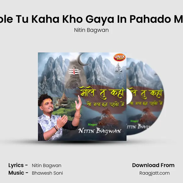 Bhole Tu Kaha Kho Gaya In Pahado Mein - Nitin Bagwan album cover 