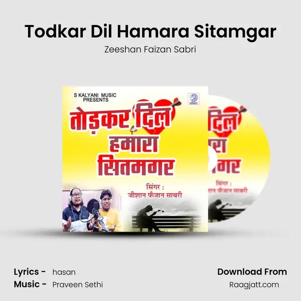 Todkar Dil Hamara Sitamgar mp3 song