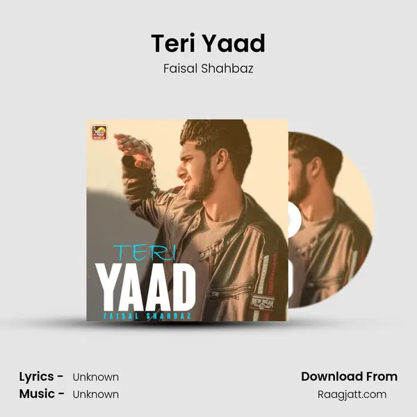 Teri Yaad - Faisal Shahbaz album cover 