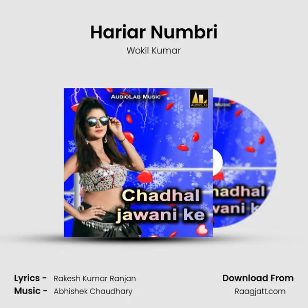 Hariar Numbri - Wokil Kumar album cover 