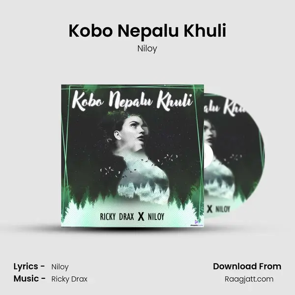 Kobo Nepalu Khuli - Niloy album cover 