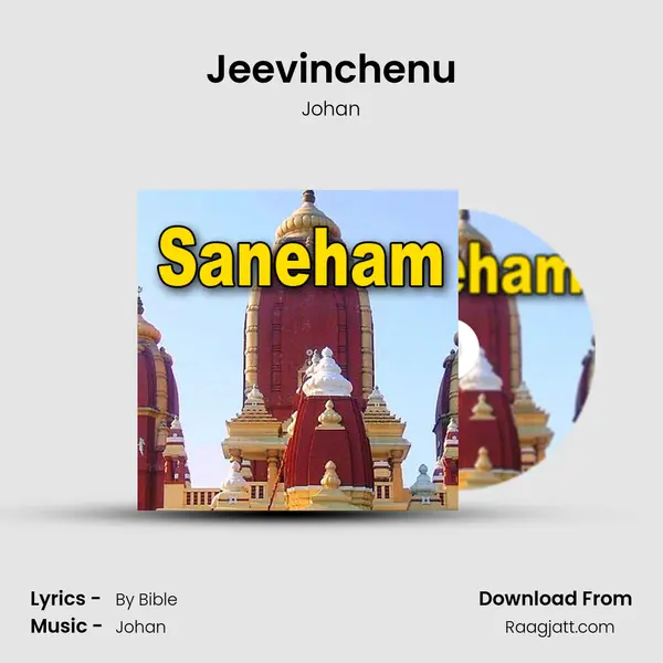 Jeevinchenu - Johan album cover 