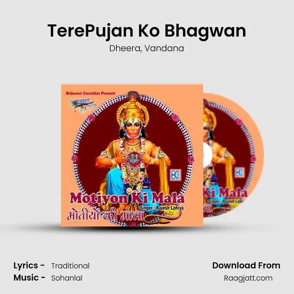 TerePujan Ko Bhagwan - Dheera album cover 