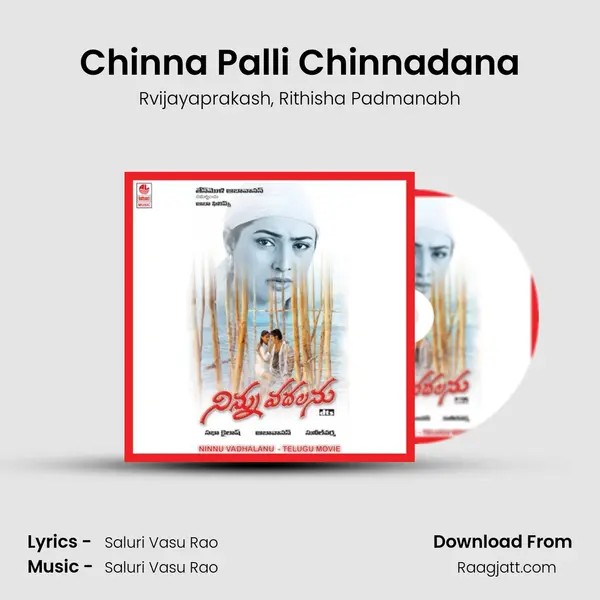 Chinna Palli Chinnadana - Rvijayaprakash album cover 