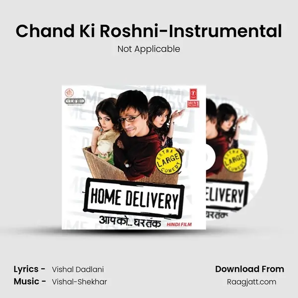 Chand Ki Roshni-Instrumental - Not Applicable album cover 